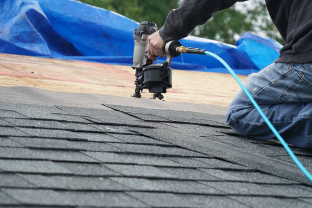 Best Roof Gutter Cleaning  in Prairie Creek, AR